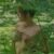 Photo de profil de Jufee
