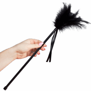 SECRETPLAY – PLUMES NOIRES 40 CM