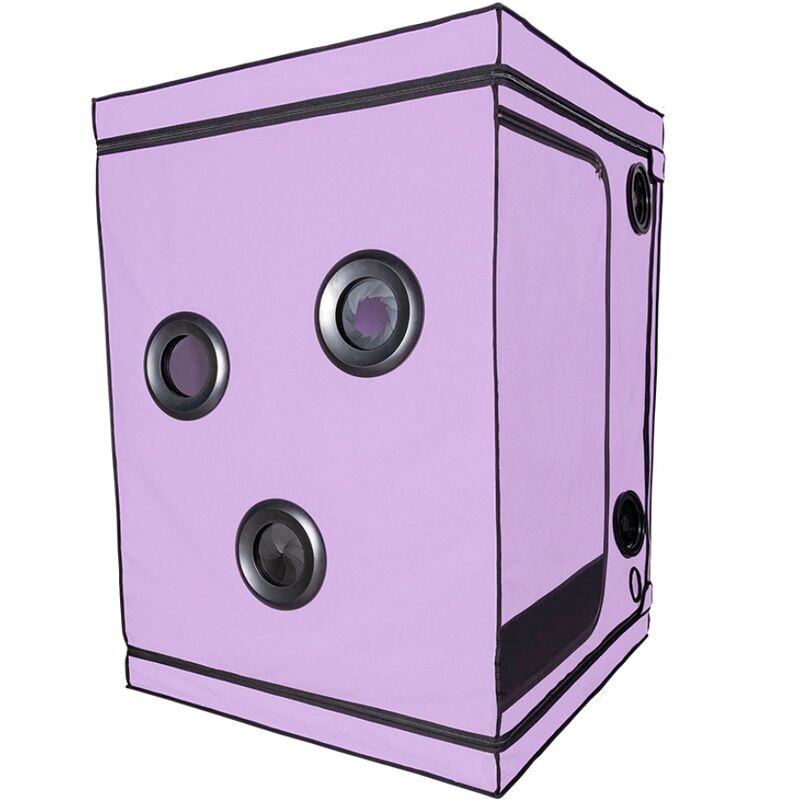 SECRET DOME – KINK CLUB CABINE SCANDALE PURPLE