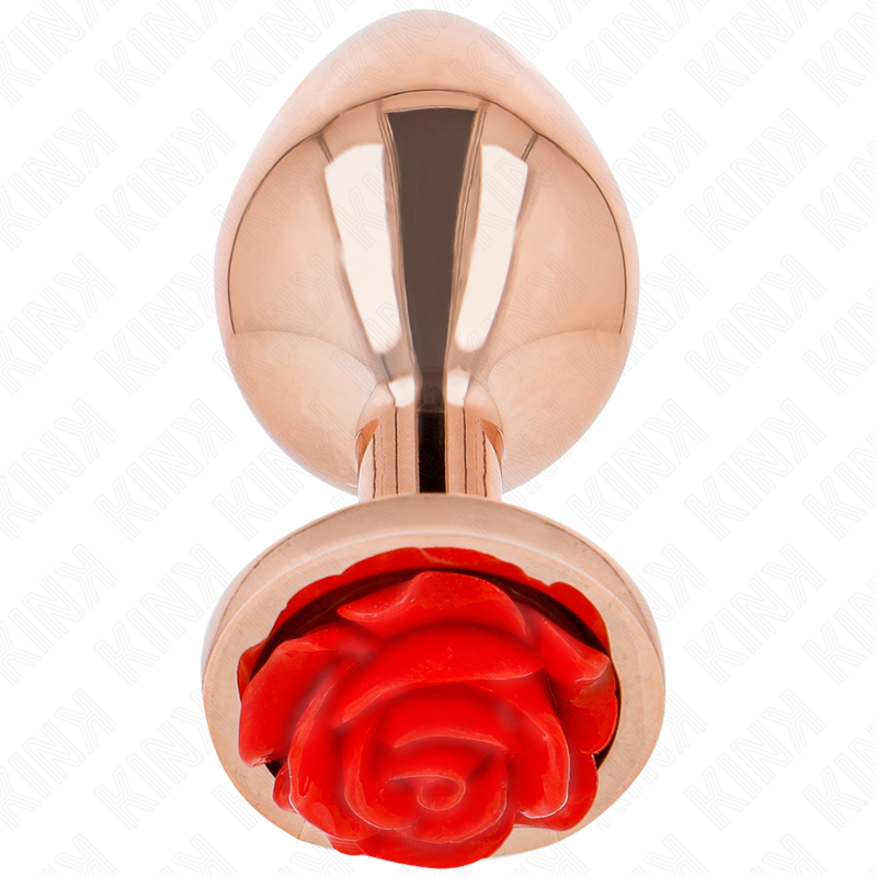 KINK – PLUG ANAL OR ROSE AVEC ROSE ROUGE S