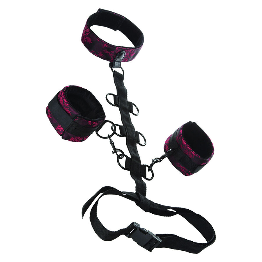 CALEXOTICS – SCANDAL SUPPORT COMPORAL  AVEC COU
